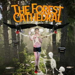 The Forest Cathedral