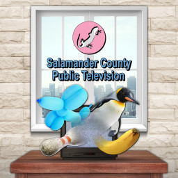 Salamander County Public Television PS4™ & PS5™