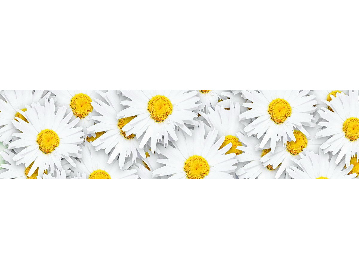 Фартук для кухни «Ромашки» Фартук для кухни «Ромашки»