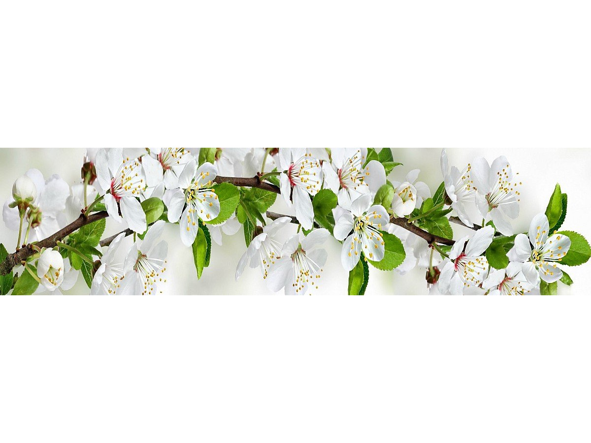 Фартук для кухни «Цветущий сад» Фартук для кухни «Цветущий сад»